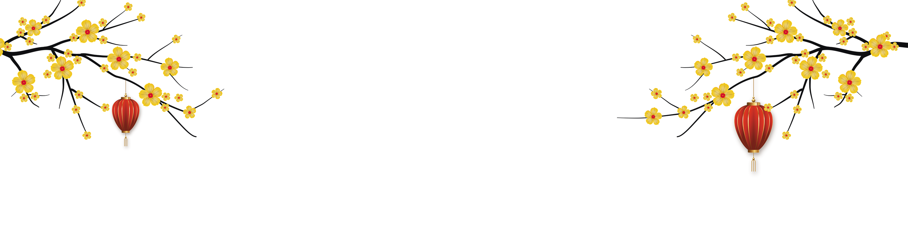 BG tet final 001