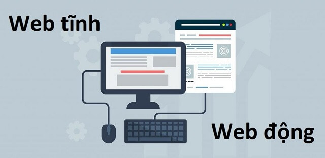 Sẽ phụ thuộc vào từng nhu cầu, đối tượng sử dụng web khác nhau